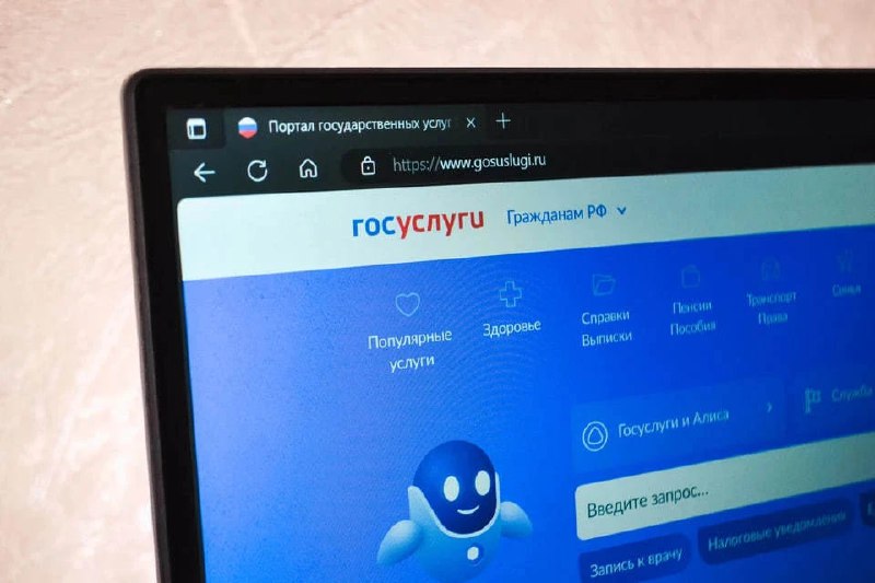 Новые меры для борьбы с мошенничеством: информирование через Госуслуги