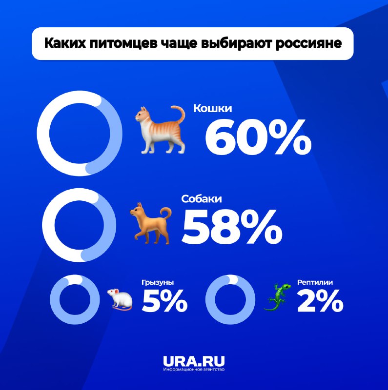 Кошки обошли собак в популярности среди домашних животных в России