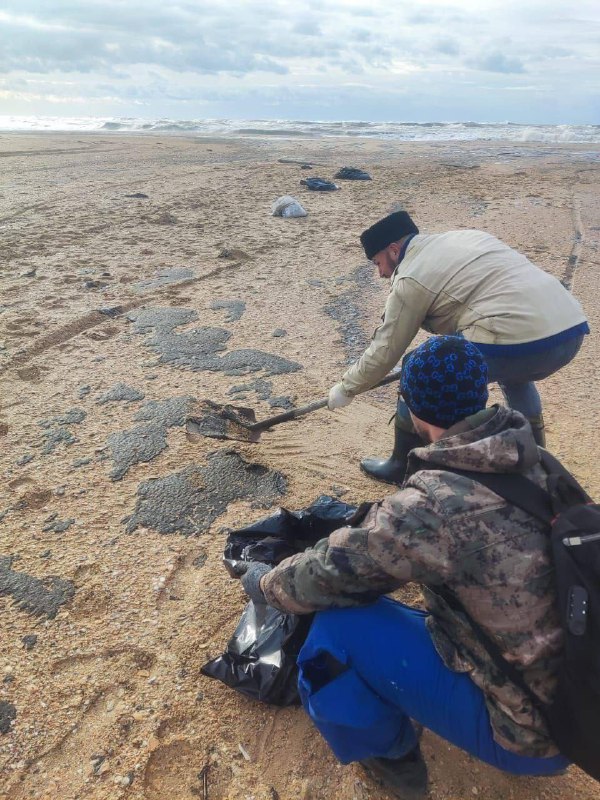 Загрязнение воды и почвы: угроза для морской экосистемы