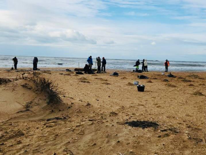 Загрязнение воды и почвы: угроза для морской экосистемы