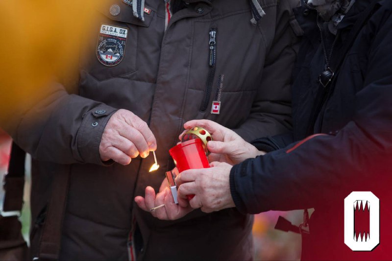 Теракт в Магдебурге: город скорбит и возлагает цветы