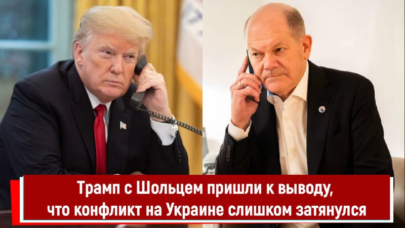 Трамп и Шольц пришли к выводу по украинскому конфликту