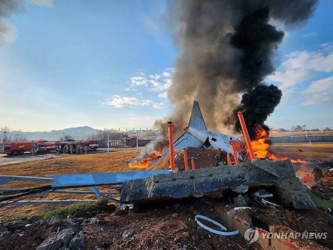 Авария Boeing Jeju Air: поломка шасси из-за столкновения с птицей