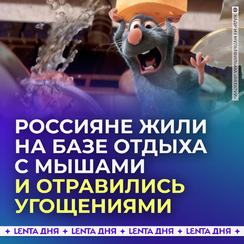 Скандал на базе отдыха: туристы отравились и обнаружили мышей