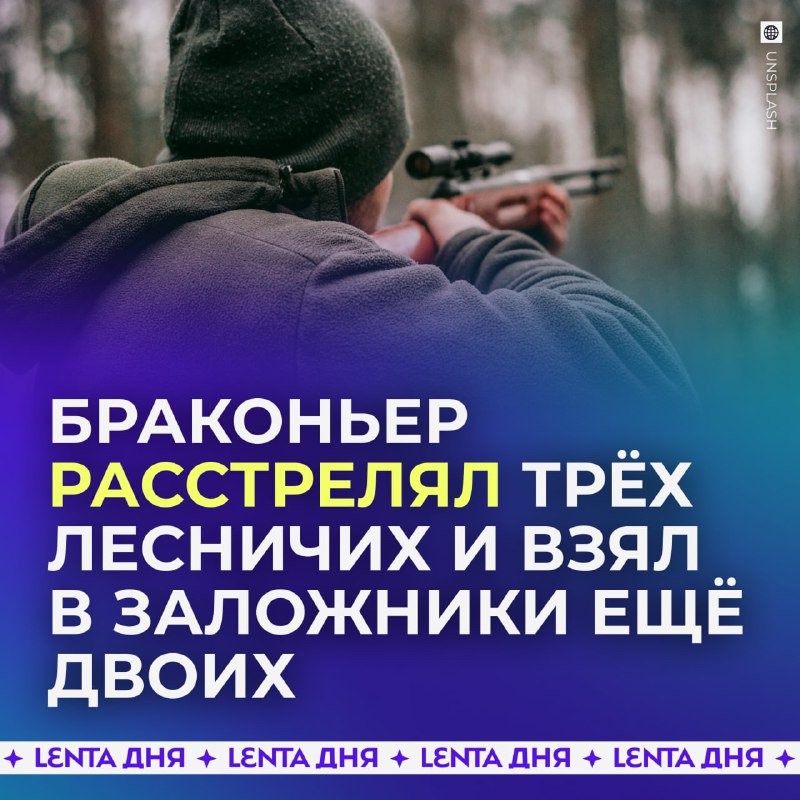 Трагическое происшествие в лесу: дровосек убил лесников и покончил с собой